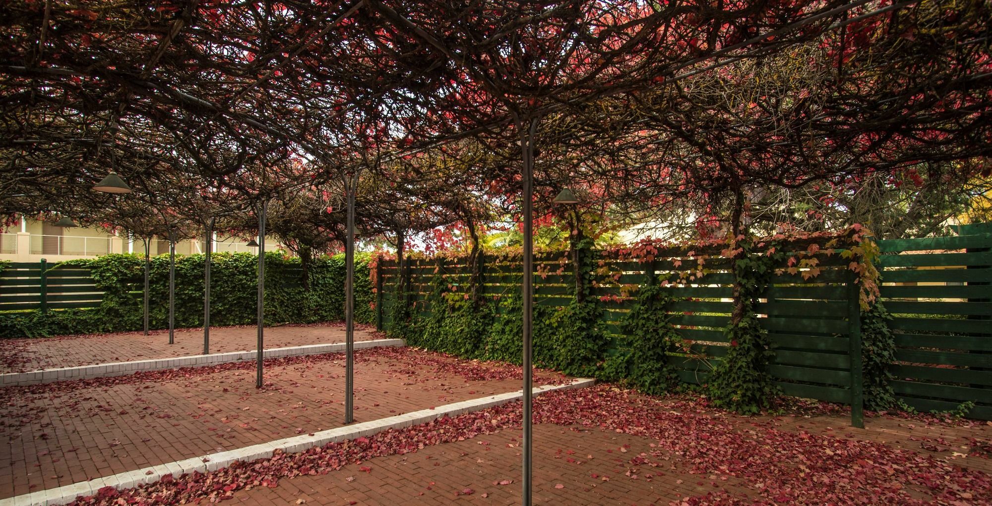 Barossa Weintal Hotel Tanunda Zewnętrze zdjęcie